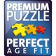 Puzzle Minecraft, 9 ani+, 300 piese, Ravensburger 698823