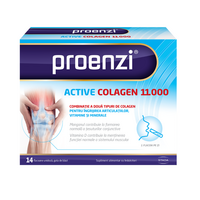 Proenzi Active Colagen, 11.000, Coacaze, 14 flacoane unidoza, Stada