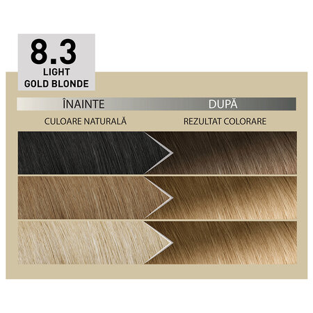 Vopsea de par parmanenta Plex Rebuilder Il Salone, 8.3, Light Golden Blonde, Alfaparf 699368