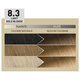 Vopsea de par parmanenta Plex Rebuilder Il Salone, 8.3, Light Golden Blonde, Alfaparf 699368