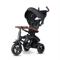 Tricicleta pliabila Rito Deluxe, Negru, 10-36 luni, Qplay