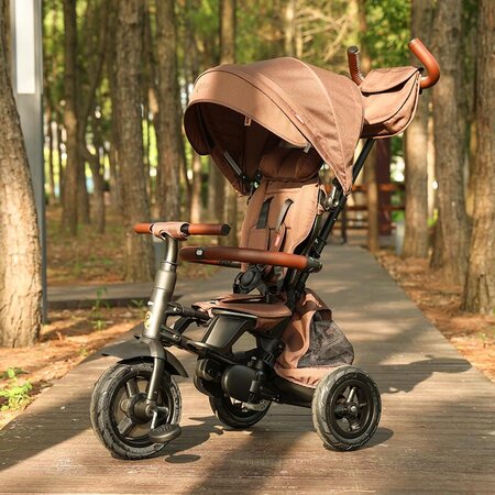 Tricicleta pliabila Rito Deluxe, Maro, 10-36 luni, Qplay 700197