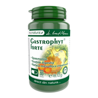 Gastrophyt Fort, 60 capsule, Pro Natura