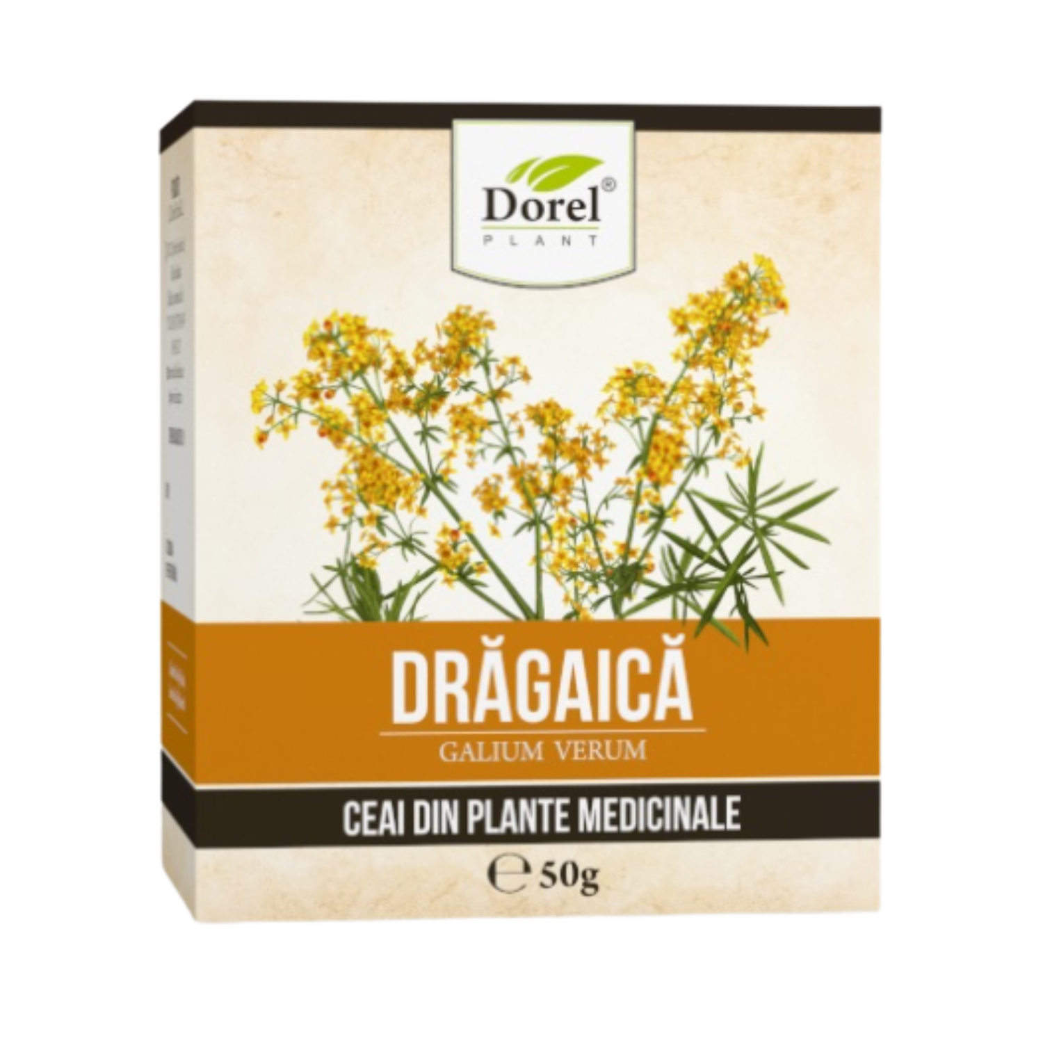 Ceai de Dragaica (Sanziene), 50 g, Dorel Plant