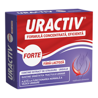Uractiv Forte fara lactoza, 20 capsule, Terapia