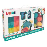 Set jucarii senzoriale Jungla, 10 luni+, Ludi