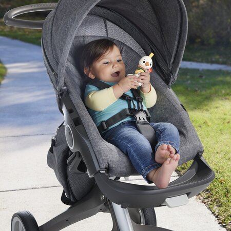 Jucarie zornaitoare Gasca, 3 luni+, Fisher Price 702041