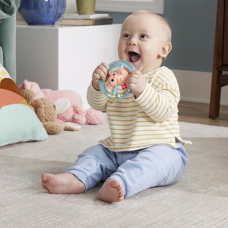 Jucarie zornaitoare Salamandra, 3 luni+, Fisher Price 702046