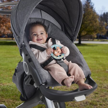 Jucarie zornaitoare Salamandra, 3 luni+, Fisher Price 702045