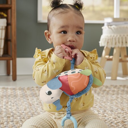 Jucarie senzoriala pentru bebelusi Broscuta Testoasa, 0 luni+, Fisher Price 702371