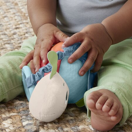 Jucarie senzoriala pentru bebelusi Broscuta Testoasa, 0 luni+, Fisher Price 702373