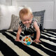 Minge zornaitoare Oball Grip & Spin, 0 luni+, Baby Einstein 703670