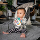 Jucarie muzicala Ocean Explorers Maritime Melodies, 3 luni+, Baby Einstein 703676