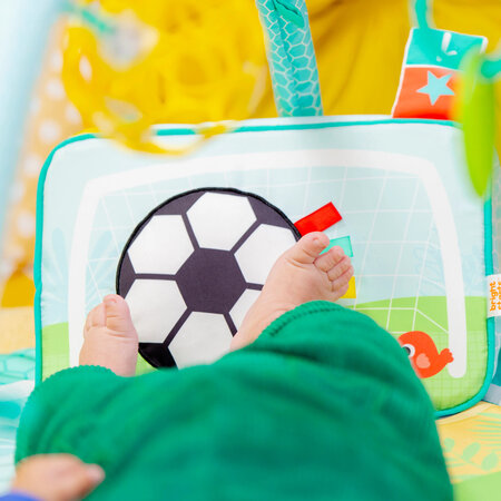 Salteluta de activitati Grip & Kick Oball, 0 luni+, Bright Starts 703774