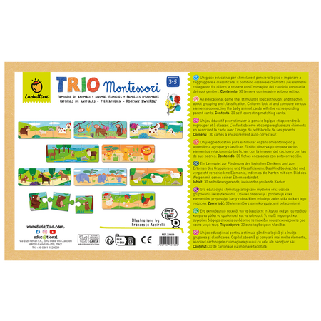 Joc educativ Montessori Familia de Animale, 3-5 ani, Ludattica 703854