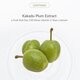Serum pentru fata cu efect de stralucire Natural Radiance Essence, 30 ml, Dr.Althea 704521