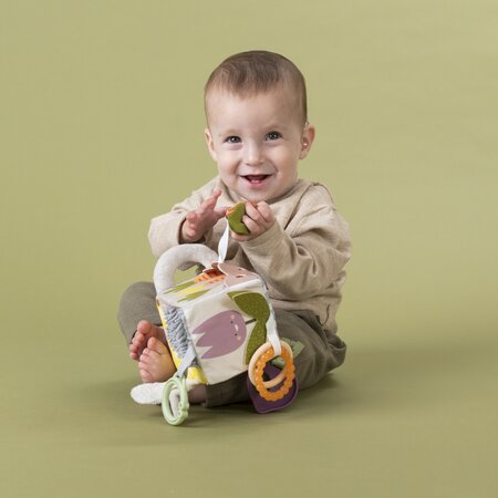 Jucarie cub Urban Garden, + 0 luni, Taf Toys 705359