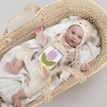 Jucarie cub Urban Garden, + 0 luni, Taf Toys 705363