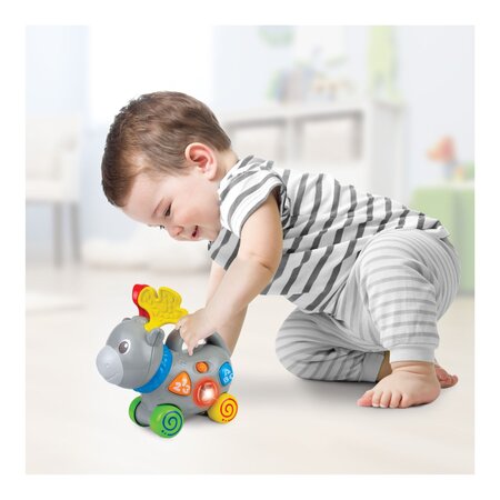 Jucarie de impins Elan, + 6 luni, Winfun 706081