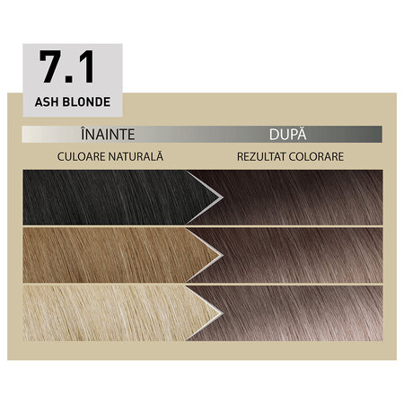Vopsea permanenta Plex Rebuilder Il Salone, 7.1 - Ash Blonde, 43 ml+70 ml+15 ml+15 ml, Alfaparf 706331
