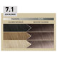 Vopsea permanenta Plex Rebuilder Il Salone, 7.1 - Ash Blonde, 43 ml+70 ml+15 ml+15 ml, Alfaparf 706331