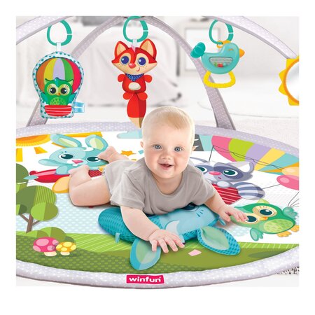 Salteluta cu activitati, + 0 luni, Winfun 706497