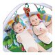 Salteluta cu activitati, + 0 luni, Winfun 706500