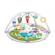 Salteluta cu activitati, + 0 luni, Winfun 706495