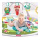 Salteluta cu activitati, + 0 luni, Winfun 706497