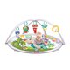 Salteluta cu activitati, + 0 luni, Winfun 706496