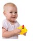 Set jucarii de baie, Animalute de la Ferma, + 6 luni, Winfun 706528