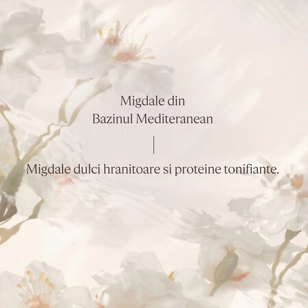 Lapte Concentrat pentru Fermitatea Pielii Almond Milk, 200 ml, L'Occitane 706678