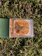 Observator de insecte cu lupa de marire 5x BugView, 4 ani+, Carson 709039