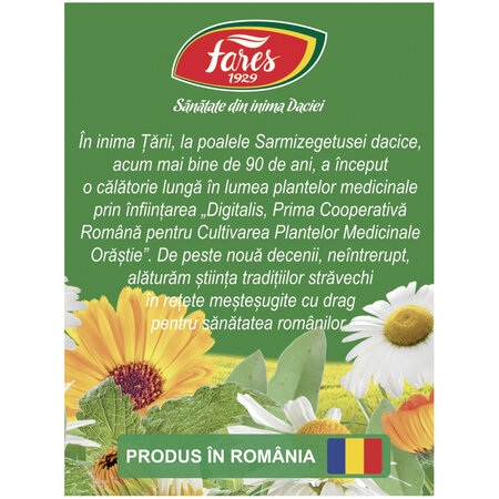 Ceai Ginosept, 20 plicuri, Fares 721250