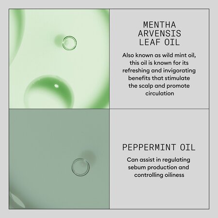 Serum tratament pentru intarirea si ingrosarea parului Density Defend, 100 ml, Nioxin 711606