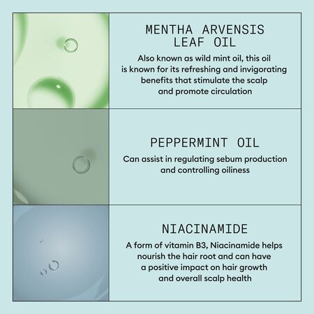 Set antimatreata pentru scalp iritat cu mancarimi Scalp Recovery, 200+200+100 ml, Nioxin 711635