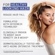 Ser tratament anticadere intensiv leave-in Night Density Rescue, 70 ml, Nioxin 711652