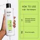 Sampon impotriva caderii parului pentru stadiu avansat Scalp + Hair System 2, 300 ml, Nioxin 711760