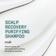 Sampon purificator antimatreata pentru scalp iritat Scalp Recovery, 1 litru, Nioxin 711928