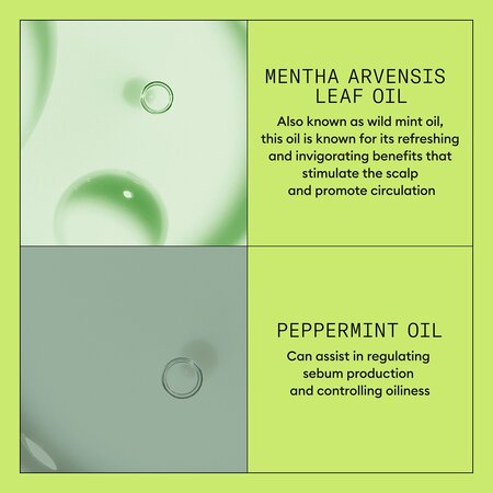 Balsam impotriva ruperii parului afectat de subtiere avansata System 2, 1 litru, Nioxin 711997