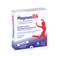 Magnum B6, 20 plicuri, Sun Wave Pharma