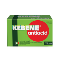 Kebene Antiacid, 40 comprimate masticabile, Terapia