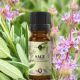 Ulei esential de Salvie Oficinala, 10 ml, Ellemental 714364