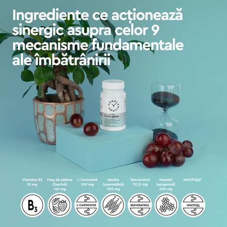 Good-Aging, 30 capsule vegetale, Good Routine 777320