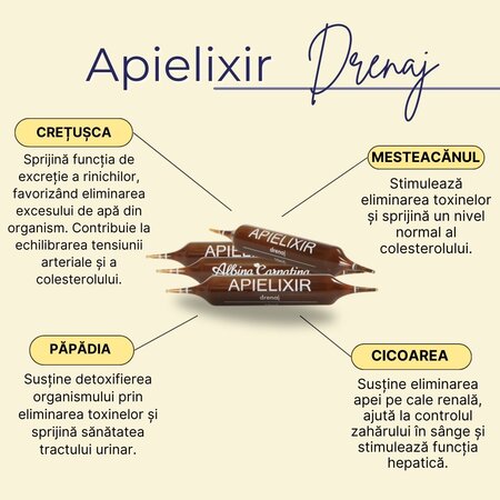 Apielixir Drenaj, 30 fiole, Albina Carpatina 717353