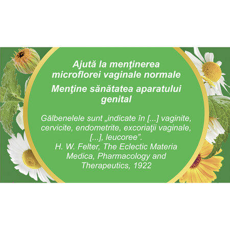Ceai Ginosept, 50 g, Fares 718445