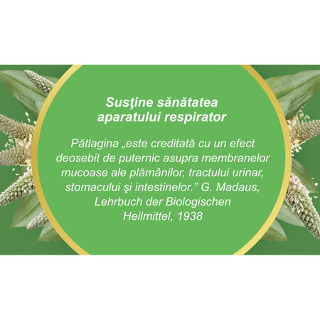 Ceai de patlagina, 50 g, Fares 718622