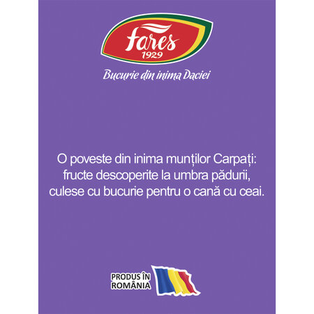 Ceai cu fructele carpatilor, 20 plicuri, Fares 720684