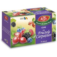 Ceai cu fructele carpatilor, 20 plicuri, Fares