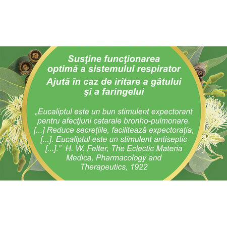 Ceai de eucalipt, 50g, Fares 721037